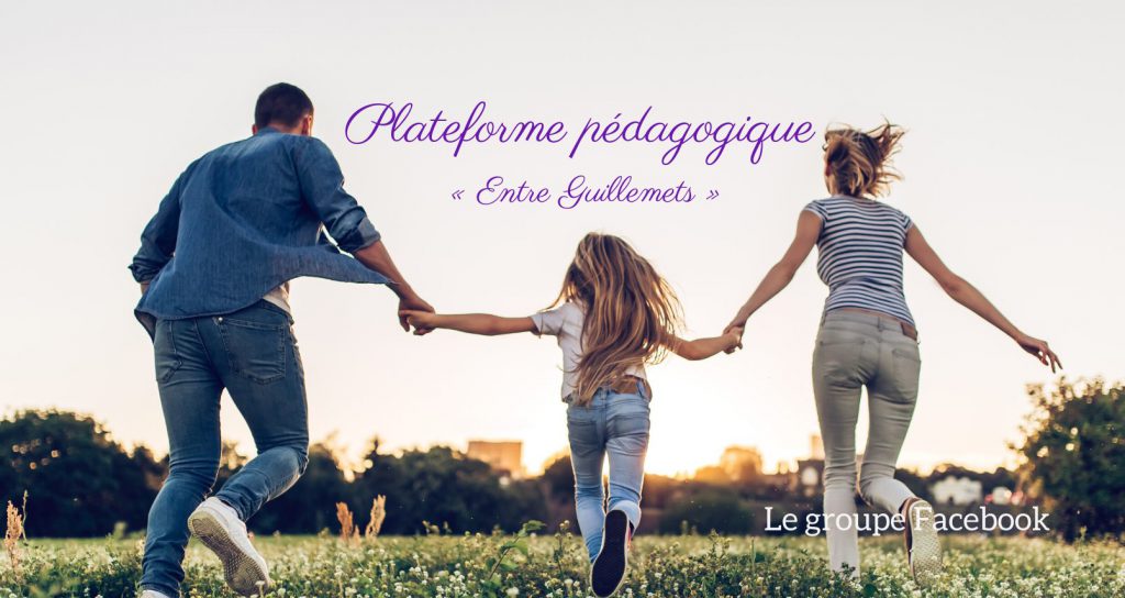 Groupe Facebook - Plateforme pédagogique